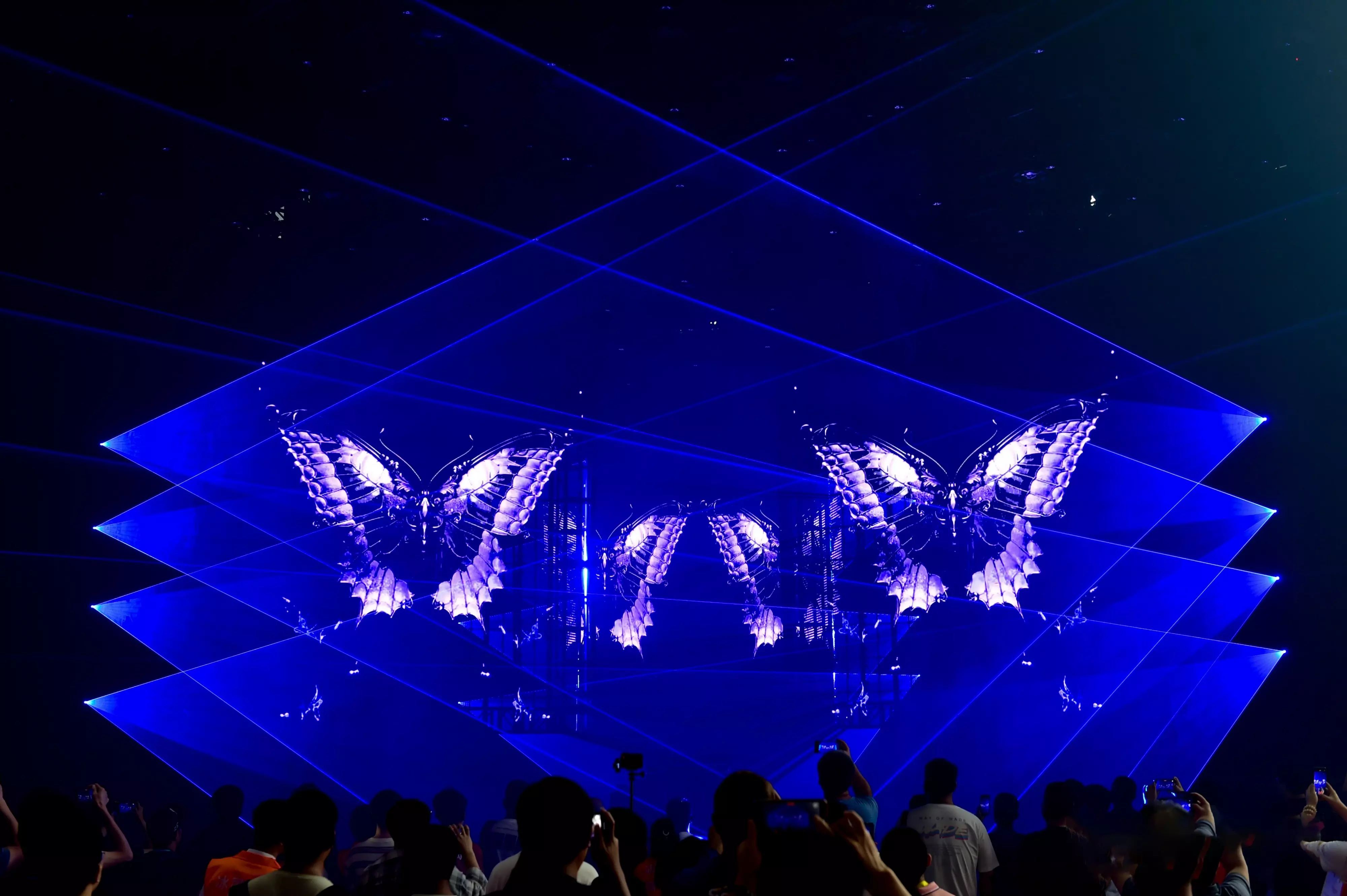 Culture & Arts Festival